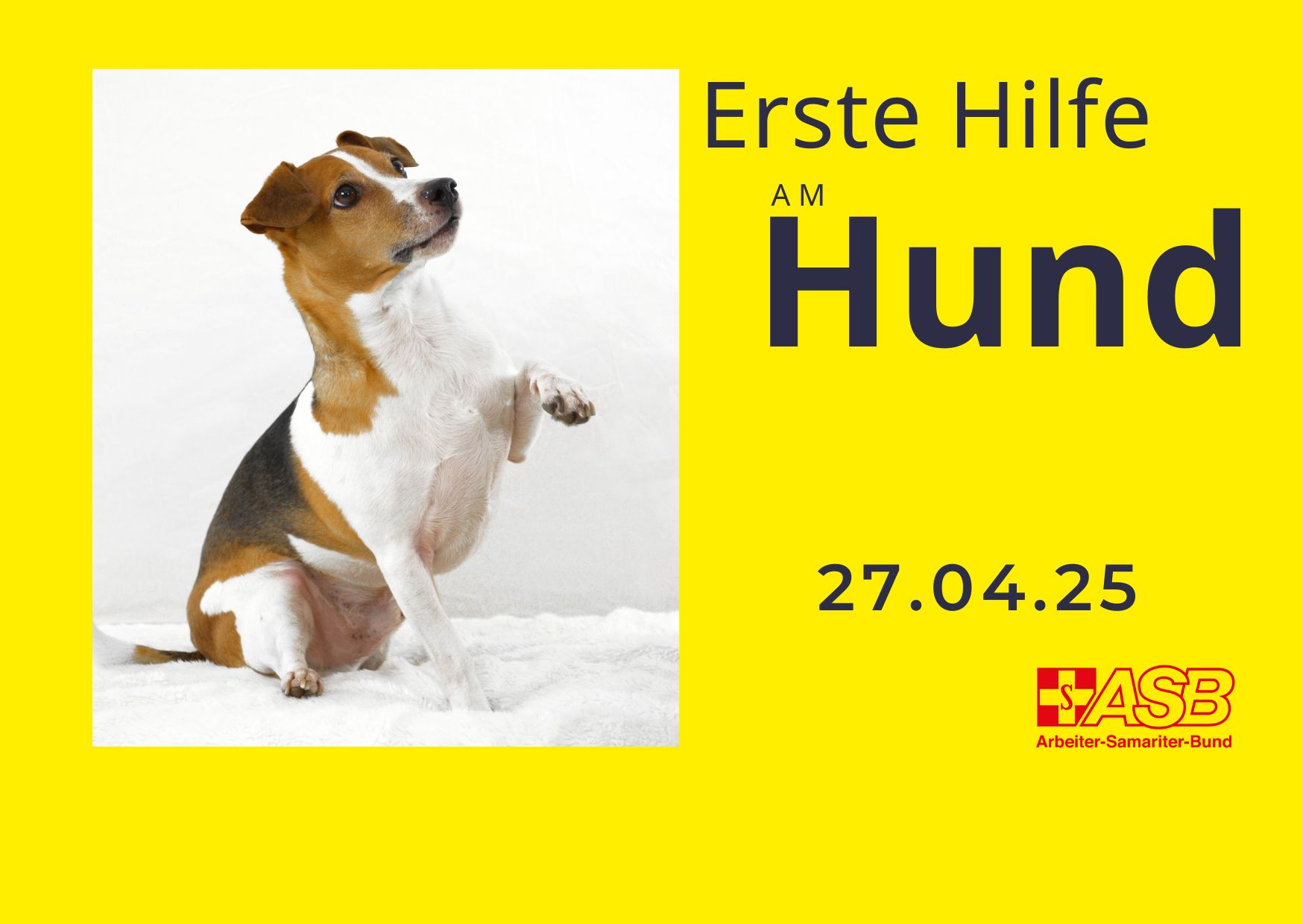 Erste Hilfe am Hund